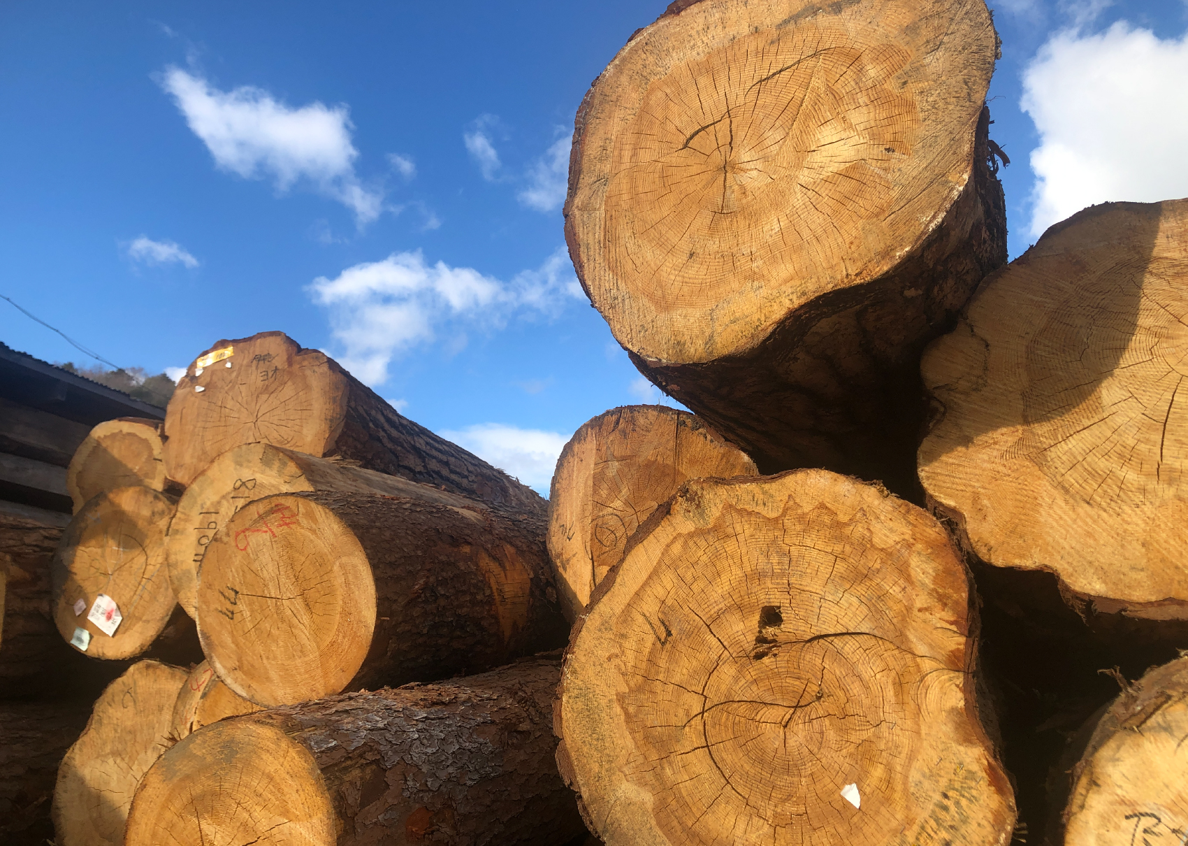 工場見学について